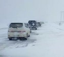 Важно: организуют колонны на маршруте Стародубское - Взморье