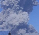 "Звук, будто снаряд бахнул": на Северных Курилах вулкан Эбеко выбросил мощный столб пепла