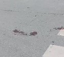 Головой об асфальт: девушка упала с самоката и потеряла сознание в Южно-Сахалинске