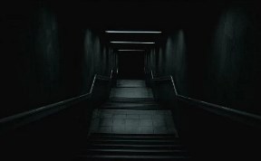 Происшествия