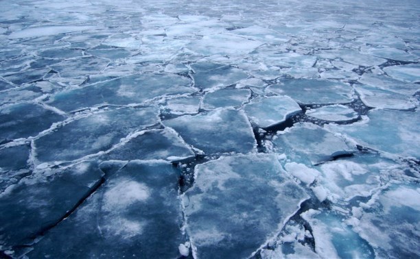 Лед в заливе Мордвинова все еще неустойчив Лед в заливе Мордвинова все еще неустойчив