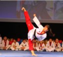 Фестиваль боевых искусств прошел на Сахалине
