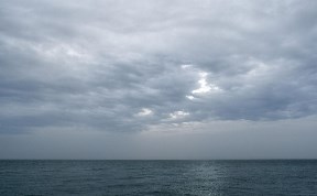 Общество