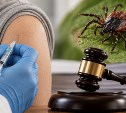 Верховный суд решит, кому должны бесплатно делать прививки от энцефалита
