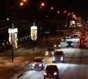 Десять елей украсят Южно-Сахалинск к Новому году