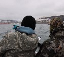 На Шумшу выбрали место для мемориала и лагеря поисковиков