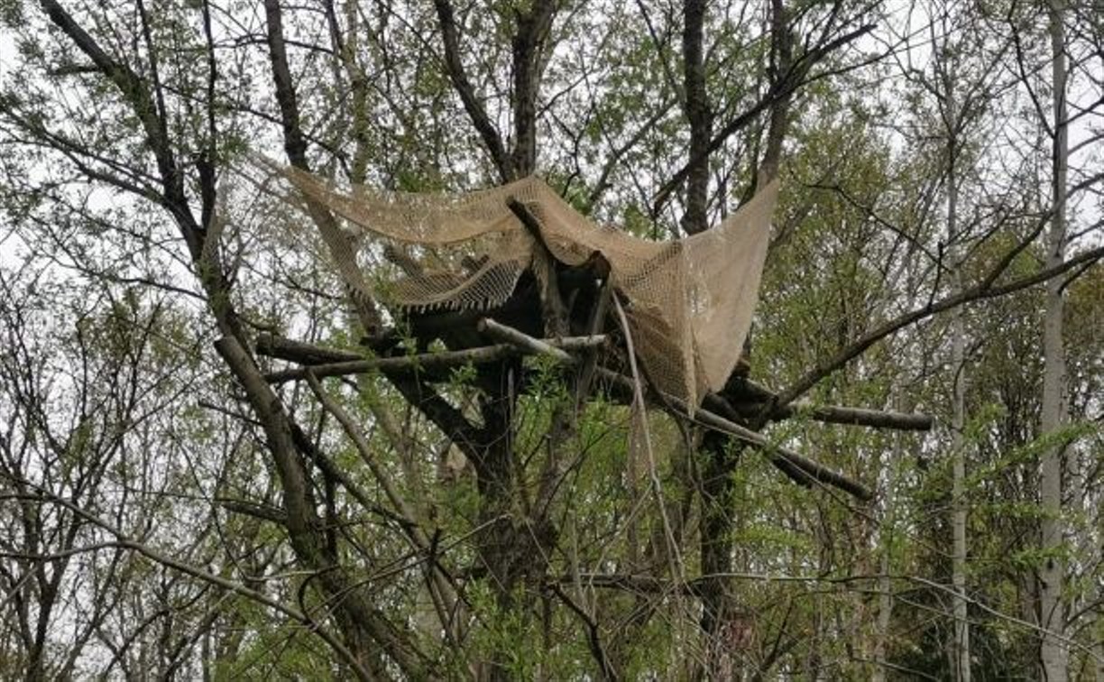 Сотрудники лесничества обнаружили незаконную засидку на медведя в пригороде Южно-Сахалинска