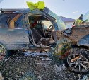 В Южно-Сахалинске автомобиль влетел в столб: зажало девушку