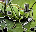 С вокальным искусством насекомых познакомят сахалинцев
