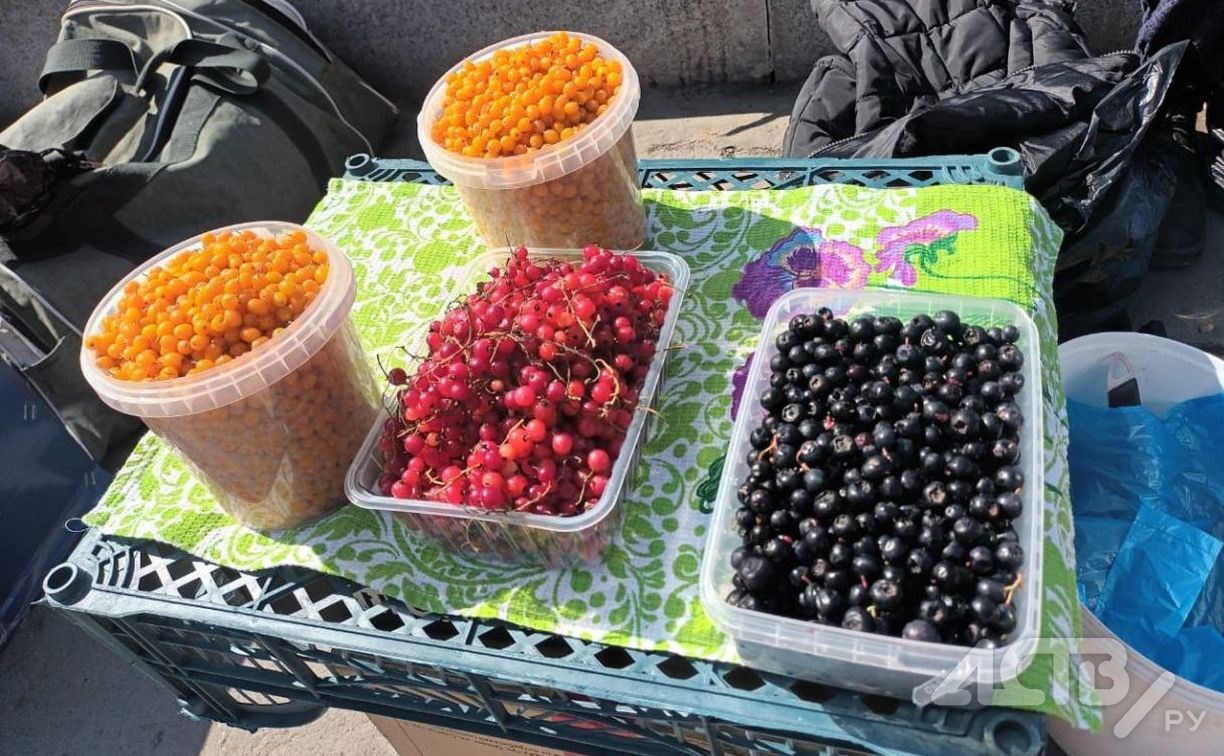 Фантастические цены и где они обитают: сколько сегодня стоит ягода на рынках Южно-Сахалинска