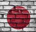 МИД Японии возмутили налоговые льготы на Курилах для иностранных компаний