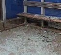 "Торчали металлические палки": детали обрушения крыши остановки в Южно-Сахалинске