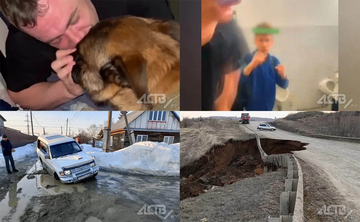 Разрушенные дороги, волк в сарае и преданный Айс: чем запомнился апрель-2025 на Сахалине