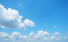 Общество