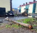 Сильный ветер на Курилах повалил столб и разворотил мусорную площадку