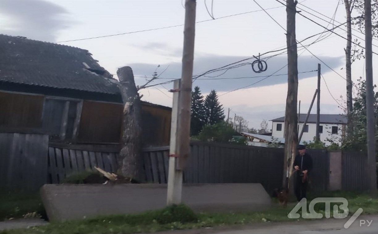 Дерево сильным порывом ветра свалило на частный дом в Смирных