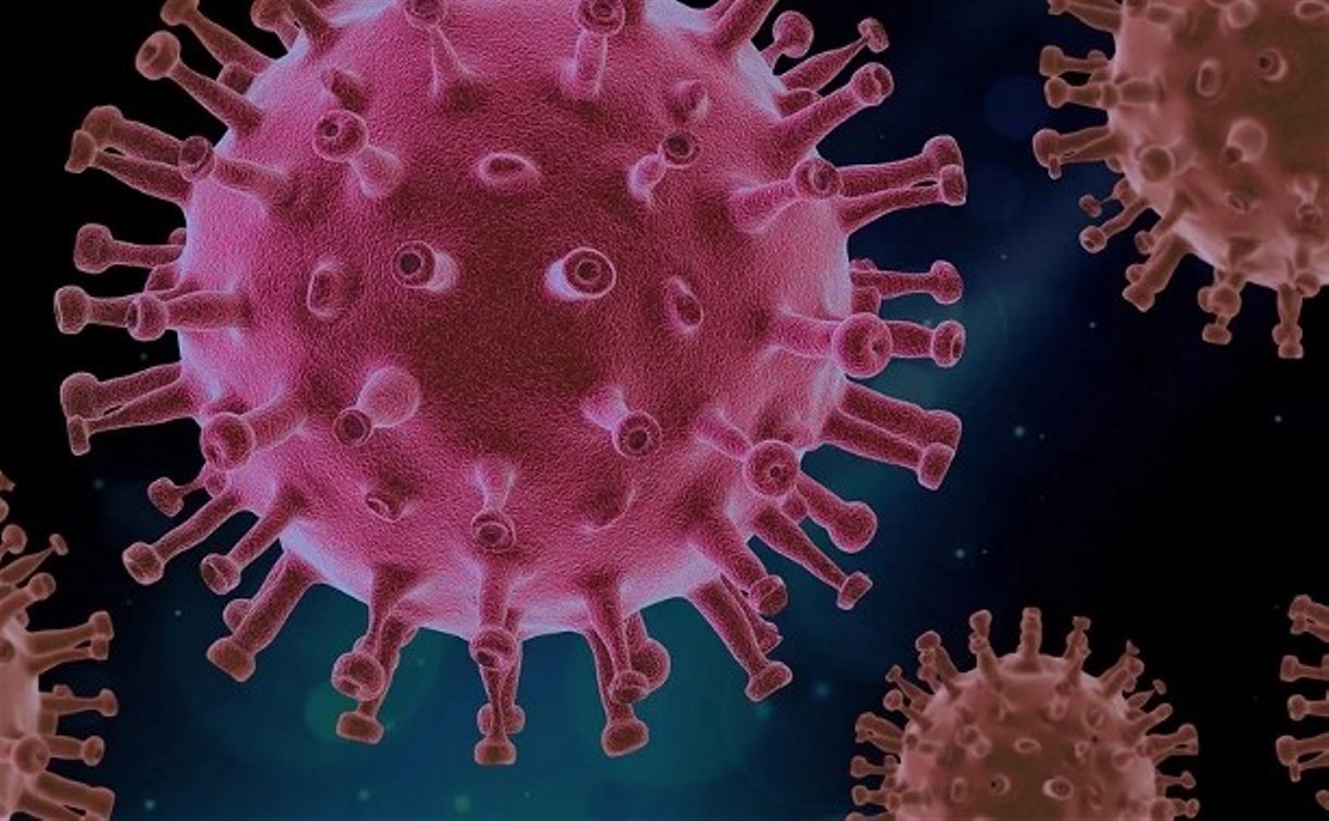 Медики подсчитали количество сахалинцев, проверенных на коронавирус