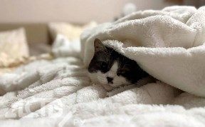 Общество
