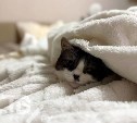 Отопление в домах сахалинцев появится с 1 по 15 октября 
