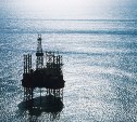 «Роснефть» завершила 2Д сейсморазведочные работы на Центрально-Татарском участке в Японском море 