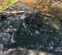 Следователи выяснят, кто слил сточные воды в реку на севере Сахалина