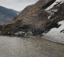 В Невельском районе на дорогу сошёл сель 