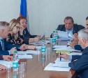 Депутаты Сахалина доработали рекомендации по возрождению культуры в глубинке