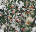 До 25 градусов мороза и штормовой ветер: прогноз для Сахалинской области на 3 марта