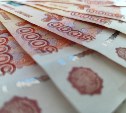 Сахалинец не смог поднять бизнес в сельском хозяйстве и вернёт в бюджет области 974 тысячи рублей 