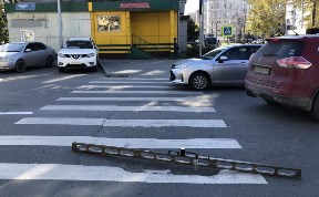 Общество