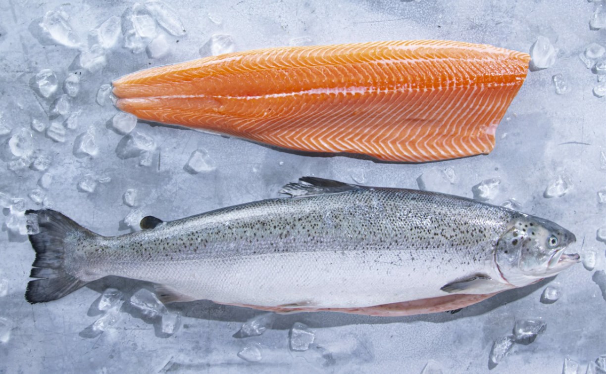 Сахалинские и курильские рыбаки добыли более 71 тысячи тонн тихоокеанского лосося