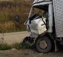 Женщину зажало в кабине грузовика при ДТП в Соколе