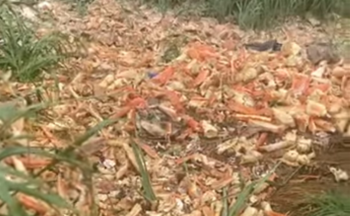 "Тут тонны": в Томаринском районе обнаружили крабовую свалку