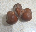 "Три орешка для Золушки": житель Охи продает сросшиеся орехи за 30 миллионов рублей