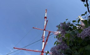 Общество