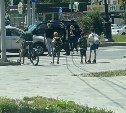 Очевидцы: велосипедиста сбили на перекрёстке в Южно-Сахалинске