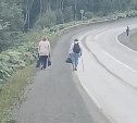 "Идут с палочками и урожаем": сахалинцы просят остановку для дачников-пенсионеров на охотской трассе