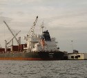 Коллапс в порту Владивостока заставил власти Сахалина задуматься о покупке грузового судна