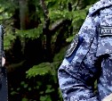 19 единиц оружия изъяли у сахалинцев за неделю