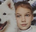 Уголовное дело возбуждено по факту исчезновения 8-летней девочки на Сахалине
