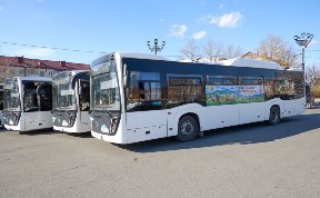 Общество