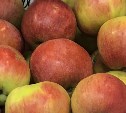 Яблоки по сто рублей могут купить южносахалинцы