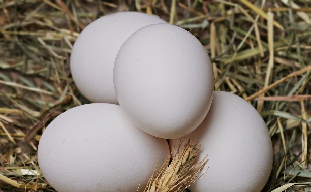 Повышение цен на Сахалине снова ударило по яйцам