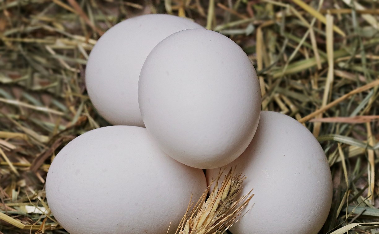 Повышение цен на Сахалине снова ударило по яйцам