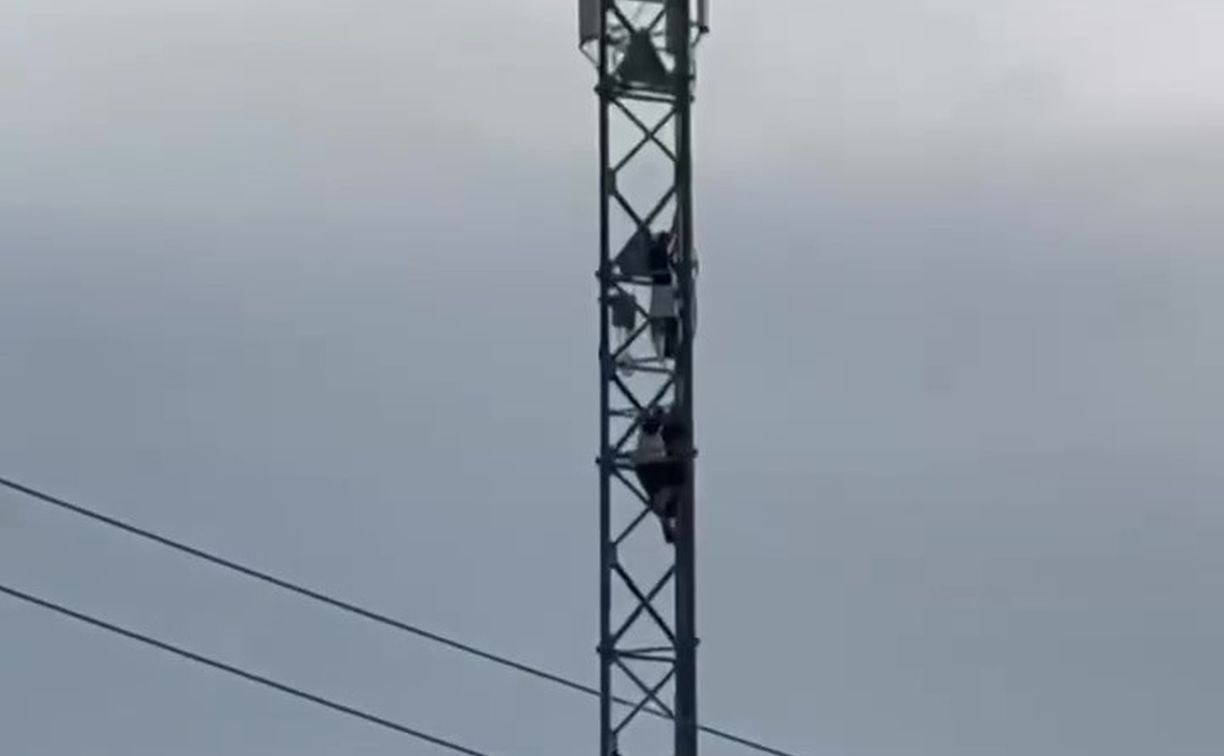 Видео детей, карабкающихся по высоченной вышке в Корсакове, вызвало обсуждение в сети