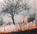 Пожар полыхал около озера в Углегорском районе