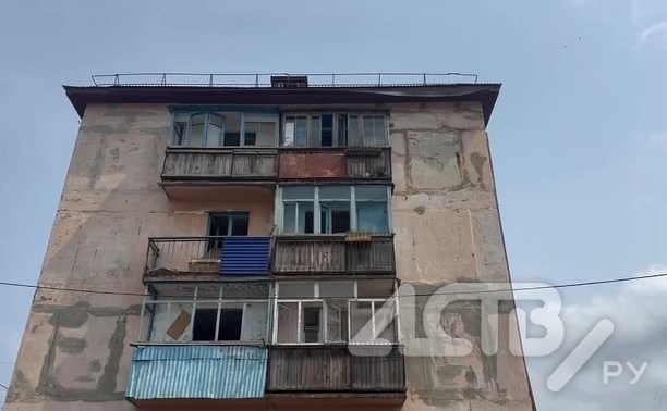 Мэрия Углегорска: гнёзда стрижей, которых сахалинка просила спасти во время сноса дома, не обнаружили