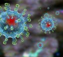В Сахалинской области усилены меры борьбы с коронавирусом