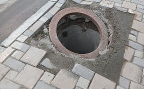 Общество