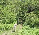 "Медведь напал на человека": экстренные службы съехались к лесному массиву на Сахалине